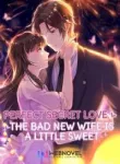 perfect-secret-love-the-bad-new-wife-is-a-little-sweet.webp